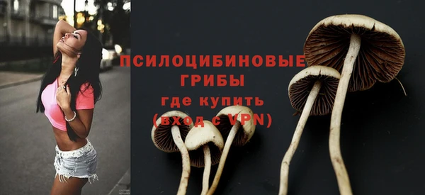 a pvp Абинск