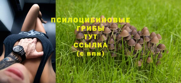 круглые Абаза