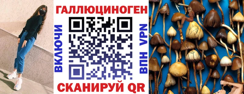 Псилоцибиновые грибы GOLDEN TEACHER  Вытегра 